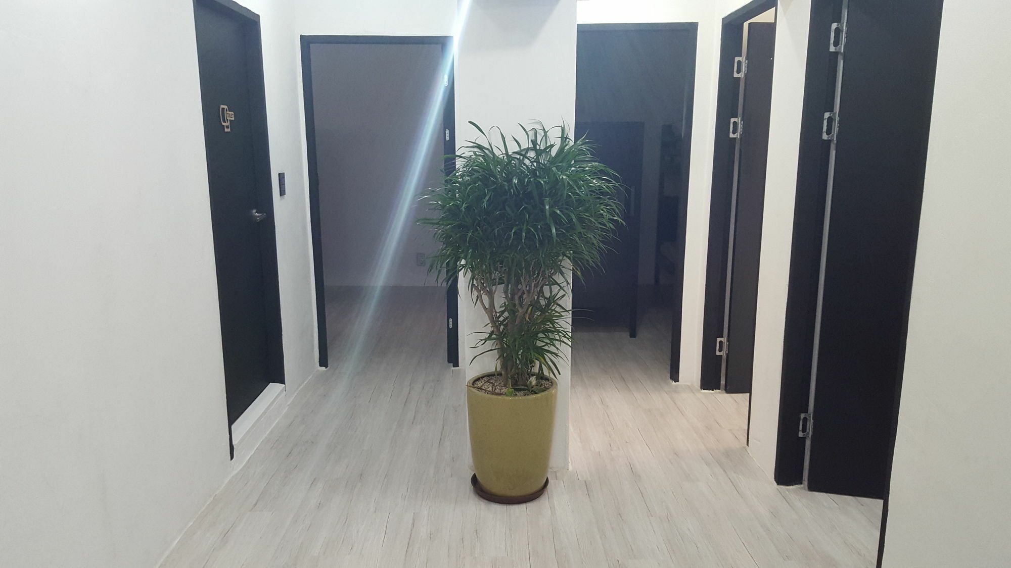 Amazon Guesthouse Сеул Экстерьер фото